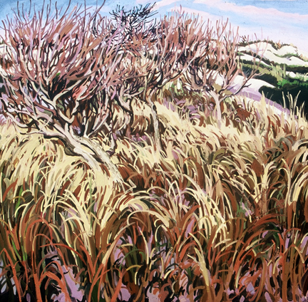 dunegrass